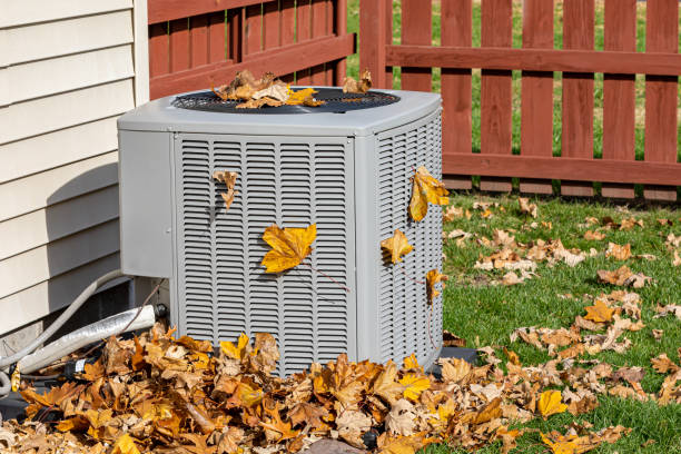 Best Thermostats and Smart Controls in Albany, WI